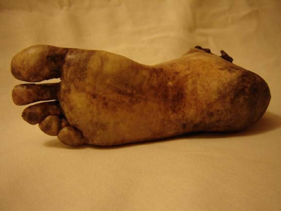 Severed Human Zombie Foot Etsy