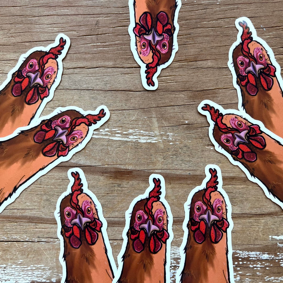 Chicken Sticker, Funny Chicken Art Vinyl Sticker - 3inch, Curious ...