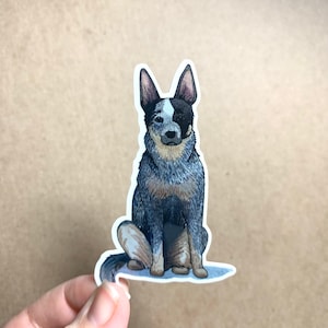 Queensland Heeler, Australian Cattle Dog Sticker Decal, Dog Breed Vinyl Sticker, 3inch, Doggos - FREE SHIPPING