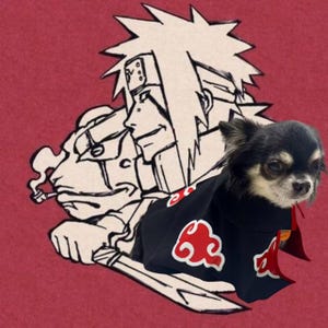 ナルト ぬいぐるみ 動物風コスチューム