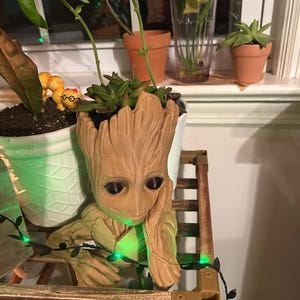 Puede incluir: Una planta verde y marrón en maceta en un macetero Groot. El macetero es una figura de cerámica de Groot de Guardianes de la Galaxia. La planta está sentada en un estante de madera con luces verdes.