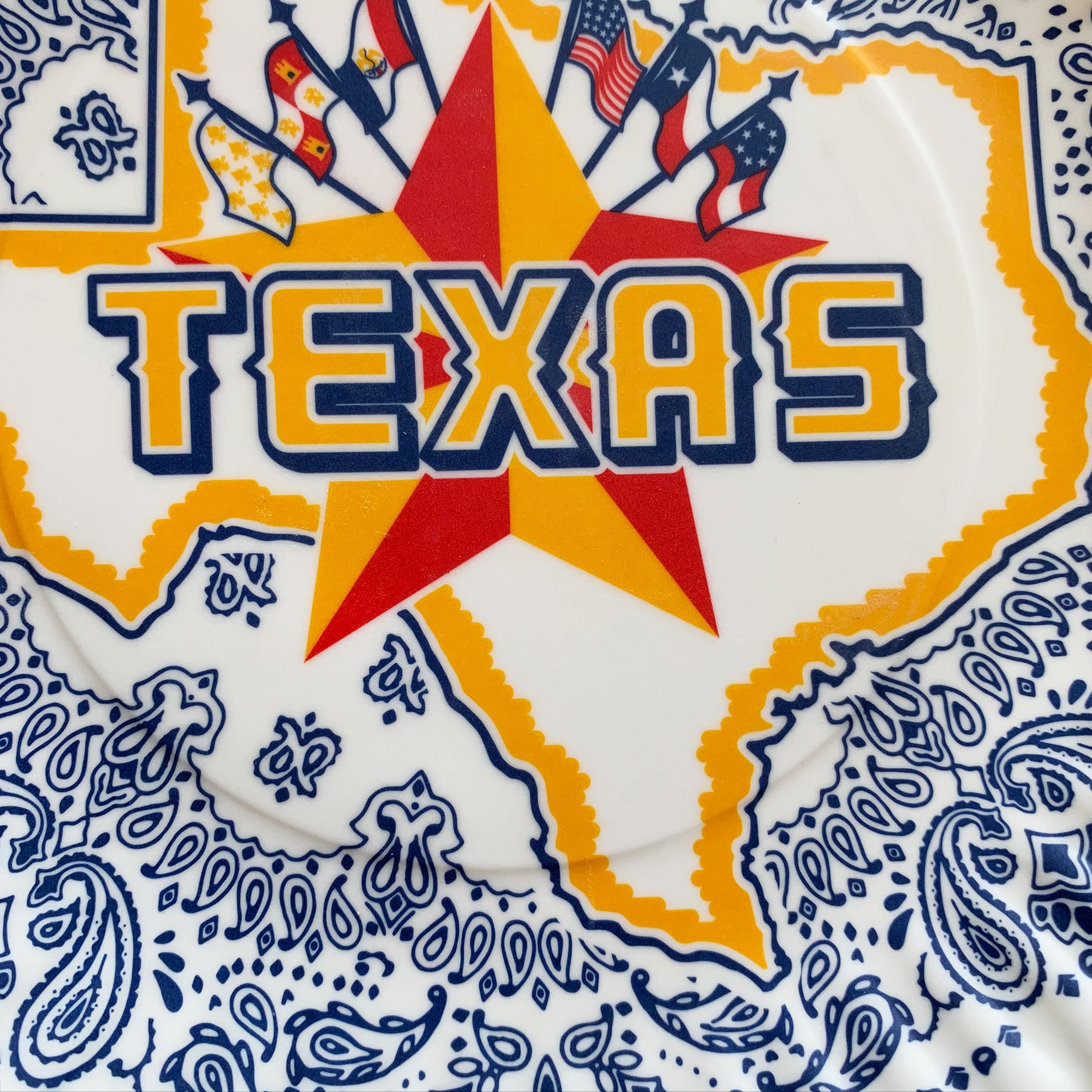 Texas Plates 9 melamine Plates Set of 4 Texas Star & Etsy