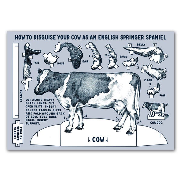 Cowdog Postcard, 6" x 4.25", How to Disguise Your Cow as an English Springer Spaniel Postcard, Cut and Assemble Postcard