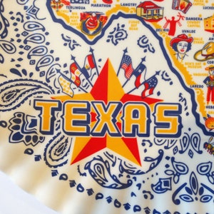 Texas Platter, 16 round melamine platter, TX Map Serving Platter, Texas Tray image 5