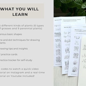 Op de afbeelding: Een set instructiemateriaal voor tekenen met de tekst WHAT YOU WILL LEARN, met 15 plantensoorten, basisvormen, lijn- en stippentechnieken, 12 oefenkaarten en een tracker. Bevat witte vellen papier met zwarte inkttekeningen van planten.