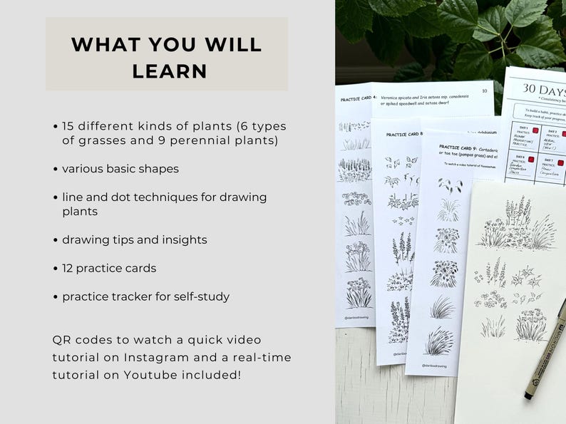 Op de afbeelding: Een set instructiemateriaal voor tekenen met de tekst WHAT YOU WILL LEARN, met 15 plantensoorten, basisvormen, lijn- en stippentechnieken, 12 oefenkaarten en een tracker. Bevat witte vellen papier met zwarte inkttekeningen van planten.