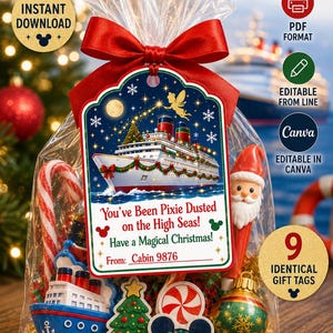 Op de afbeelding: Een set van negen kerstcadeaulabels voor cruises in een doorzichtige plastic zak met een rood lint. De labels bevatten een illustratie van een cruiseschip, een fee en de tekst: You've Been Pixie Dusted on the High Seas! Have a Magical Christmas!