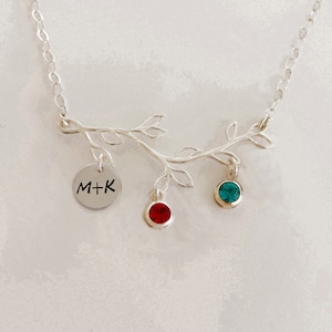 Family Necklace Wife Mother's Day Gift from Husband Mother's Day Necklace with Initials Sim Birthstones Necklace Sterling Silver Wife Gift