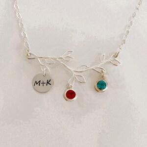 Family Necklace Mothers Day Gift for Wife from Husband Her Birthday Gift Anniversary Initials with Sim Birthstone Necklace Sterling Silver