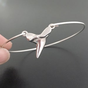 May include: A silver bracelet with a shark tooth charm. The tooth is detailed and realistic.