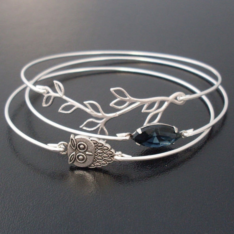 Dainty Owl Bracelet Charm Bangle Cute Owl Gift for Women Bird Lover Gift for Bird Watcher Silver Tone Owl Jewelry Owl Bangle Frosted Willow