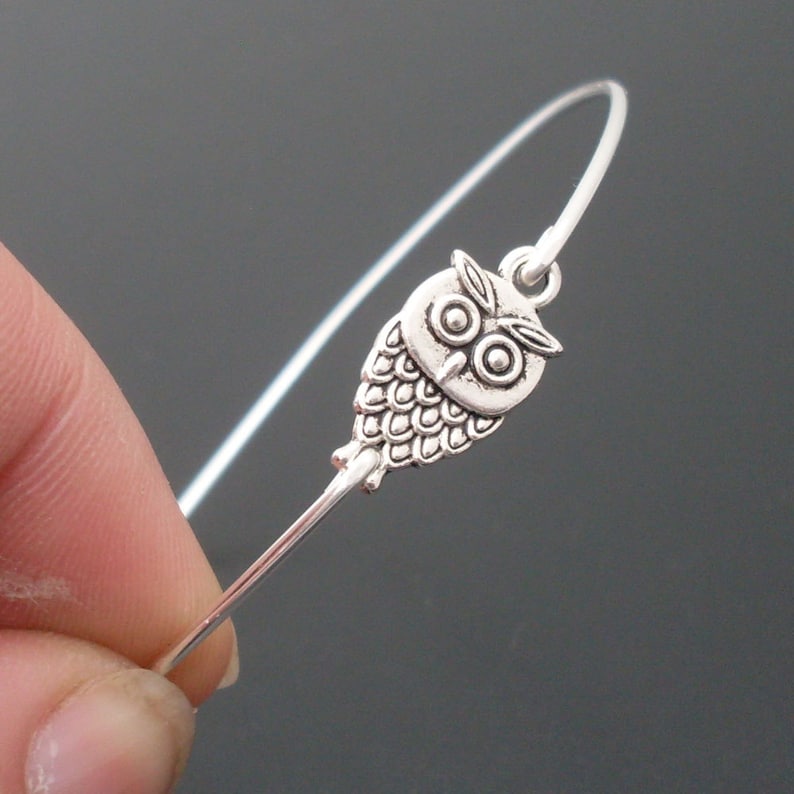 Dainty Owl Bracelet Charm Bangle Cute Owl Gift for Women Bird Lover Gift for Bird Watcher Silver Tone Owl Jewelry Owl Bangle Frosted Willow