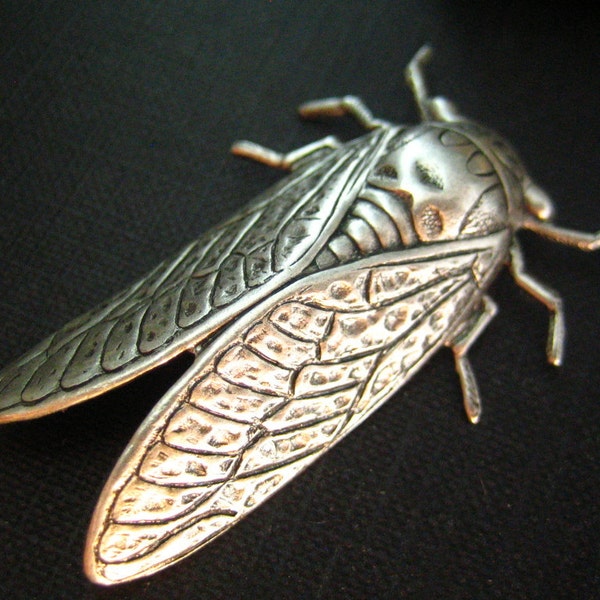 1 pc large Cicada Bug of Summer Oxidized Silver 49mm