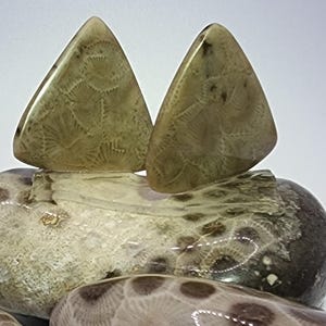 PETOSKEY Stone Combo 2 Pack Guitar Plectrums, Triangular Shape