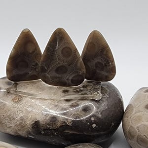 PETOSKEY Stone Combo 3 Pack Guitar Plectrums