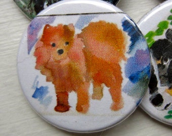 Pomerian Watercolor 1 1/4 inch pinback button badge