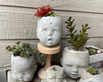 1 Medium Concrete Baby Doll Head Planter Garden Pot Plants "Kimby" Natural Concrete with drainage hole