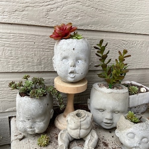 1 Medium Concrete Baby Doll Head Planter Garden Pot Plants "Kimby" Natural Concrete with drainage hole