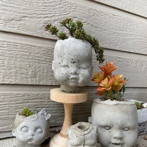 1 Large Concrete Baby Doll Head Planter- "Sumo"