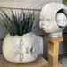 see more listings in the Garden: Planters  section