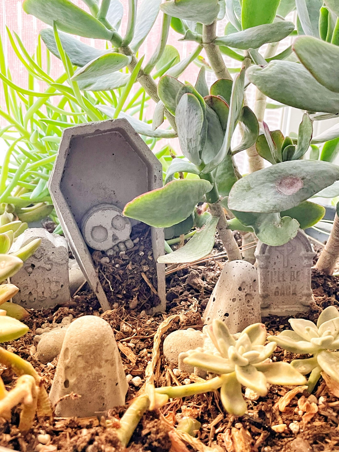 Concrete Coffin Casket Fairy Garden Scary Decor Terrarium Burial