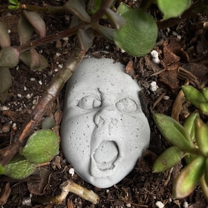 May include: A gray concrete baby face sculpture with an open mouth and wide eyes, surrounded by green succulent plants and brown mulch. The sculpture has a textured surface and is partially buried in the soil.