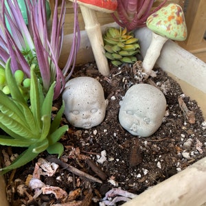 Little Roly-Poly Baby Heads | Concrete Garden Decorations Plants Pots Terrarium Mini Fairy 3-D