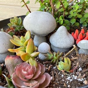 Mushrooms Concrete Garden Planter Decorations Pots Fairy Vegetable