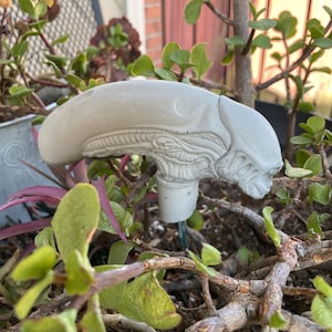 May include: A gray concrete garden stake shaped like an alien head. The stake is placed in a pot with green and purple plants. The alien head has detailed facial features and is a unique garden decoration.