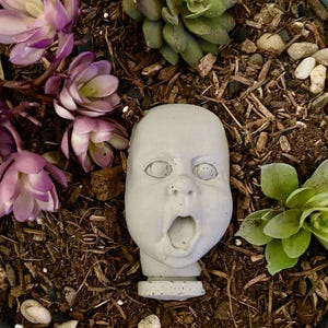 May include: A light gray concrete sculpture of a baby head with a wide-open mouth and wide eyes, positioned among purple and green succulent plants and brown soil. The sculpture features a smooth, matte finish and a small cylindrical base.