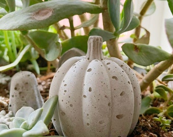 Concrete Pumpkin Garden Terrarium Table decoration Fairy Miniture