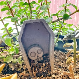 Concrete Coffin Casket Fairy Garden Scary Decor Terrarium Burial Sarcophagus Etsy