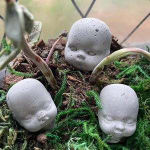 May include: Three small, gray concrete baby doll heads are nestled in a bed of green moss. The heads have realistic features and are slightly weathered.