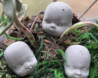 Little Roly-Poly Baby Heads | Concrete Garden Decorations Plants Pots Terrarium Mini Fairy 3-D