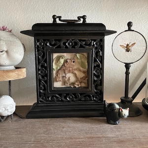 May include: A black wooden display case with a glass front, showcasing a preserved frog. The case has intricate carvings and a brass handle. A magnifying glass with a preserved bee inside sits on a stand to the right.