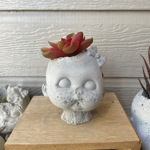 May include: A concrete doll head planter with a red succulent plant growing out of the top. The planter has a distressed white finish and a sweet expression.