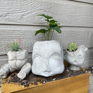 May include: Three concrete planters shaped like faces, two with plants and one empty. The planters are sitting on a wooden box.