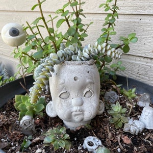 May include: A concrete doll head planter with a succulent plant growing out of the top. The planter is surrounded by other succulents and small concrete Halloween decorations in a black pot.