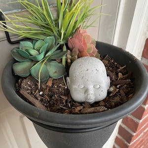 May include: A gray concrete doll head with a textured surface is nestled in a black hanging planter filled with green succulents and brown mulch.