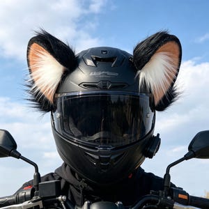 cute full face motorcycle helmet Cool Cat Ear Helmets Adults Men Women Flip up Motorbike Modular Helmets, All Seasons Comfortable Breathable, DOT Approved, 50-62CM, Black : Automotive DOT certified Fluffy Motorcycle Helmets - Etsy