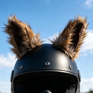 best full-face motorcycle helmet RUANLOV FRP Full Face - Integrated Motorcycle Helmets The North Face Borealis Color:Frost Grey/Carbon Look The LS2 Advant X options[vault-lining]