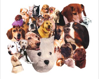 Many Doggos Collage Print Dogs