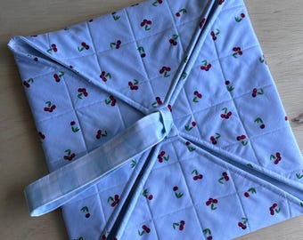 Pie Carrier Pattern