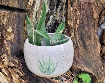Air Plant Pot / Mini Pot / Planter / Plant Pot / Succulent Pot / Cactus
