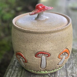 Cookie Jar, Treat Jar, Mushroom, Mushrooms, Handmade Pottery Treat Jar, Handmade Ceramic Treat Jar, Mushroom Kitchen Decor
