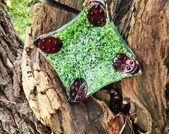 Ladybug / Fused Glass / Ladybug Dish