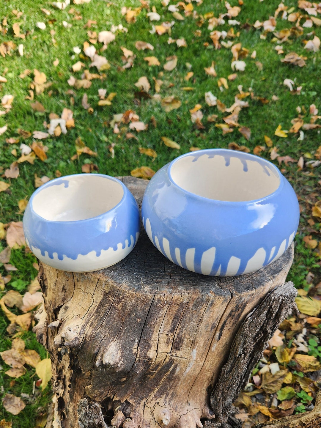 Spaniel Bowl / Dog Bowl / Set of Spaniel Bowls / Small Spaniel Etsy