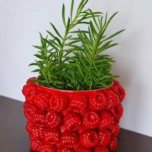 May include: A cylindrical plant pot covered in a textured, bright red raspberry pattern. The exterior is adorned with numerous molded, realistic-looking red raspberries. A green, leafy succulent plant with thin, pointed leaves grows from the top.