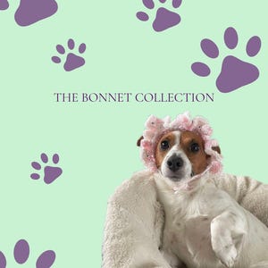 Handmade Crocheted Knitwear Pet Accessories
