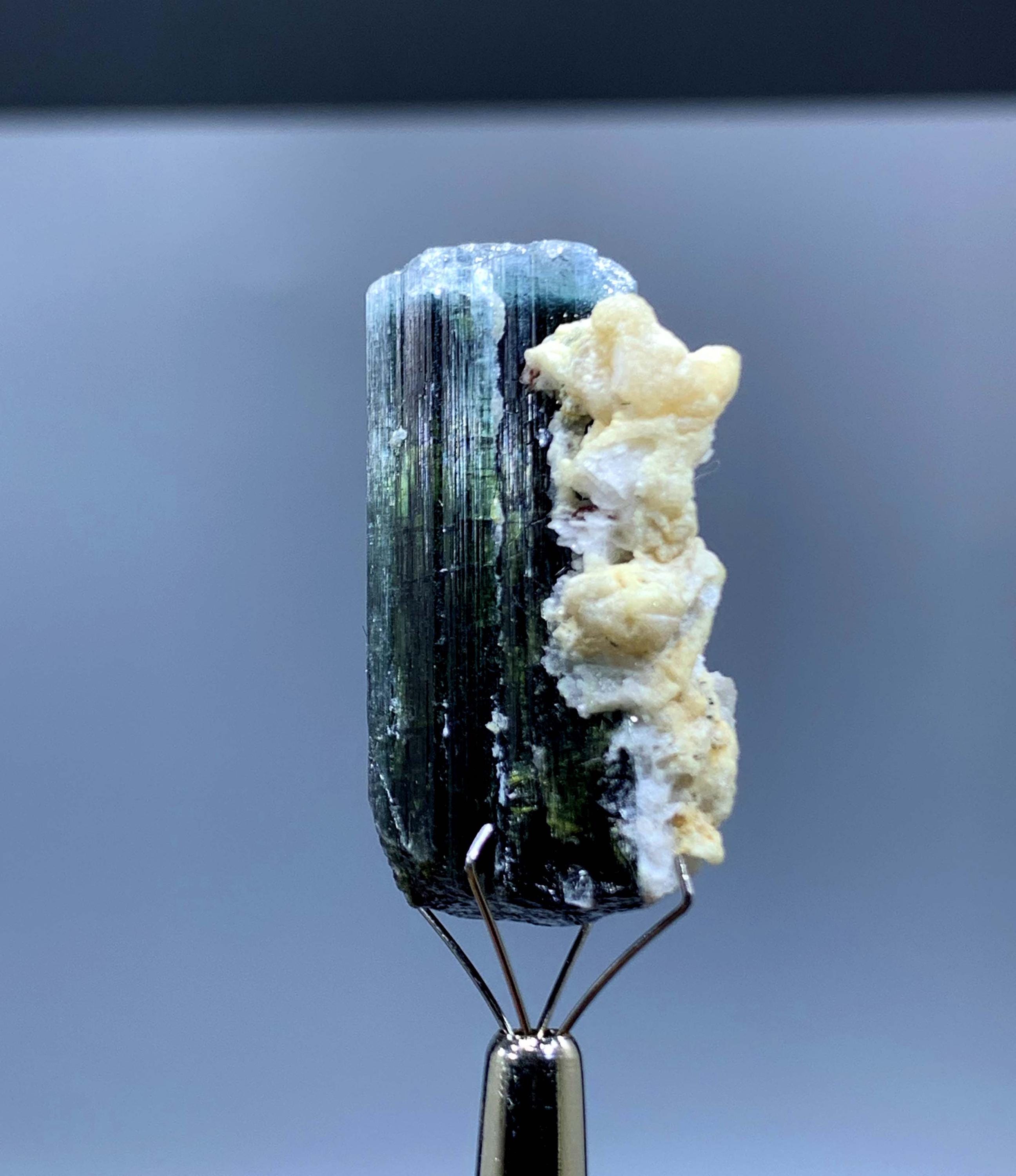 アフガニスタン産、アルバイト入り天然ブルーキャップトルマリン